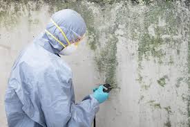 Mold Remediation for Vacation Homes in Waurika, OK